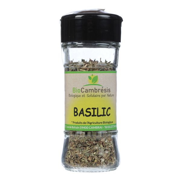 Basilic