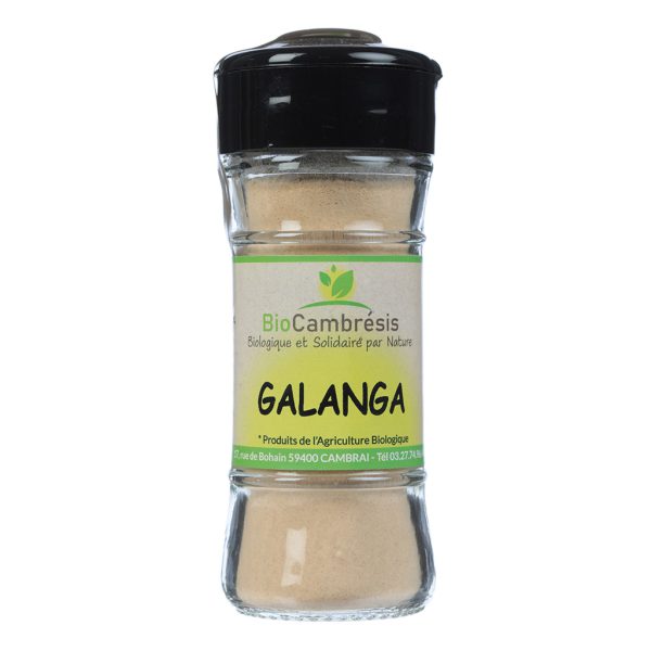 Galanga