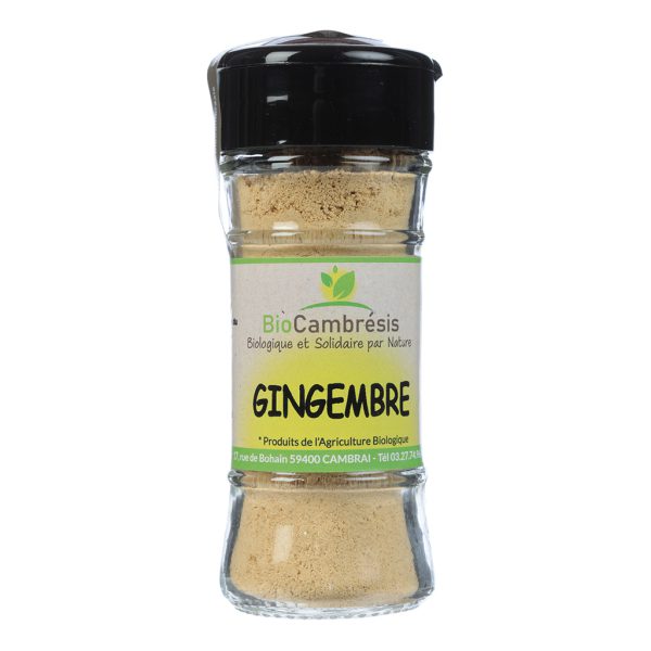 Gingembre