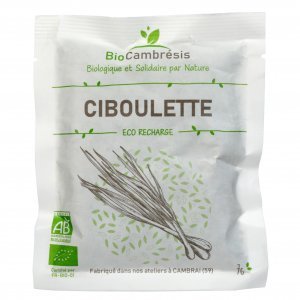 Ciboulette tubulaire - Eco-recharge